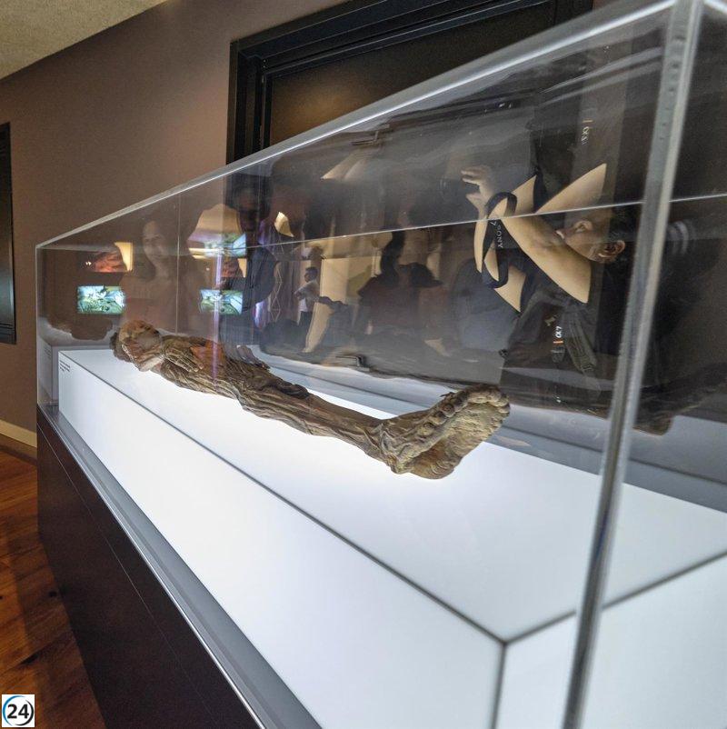 Vox se opone al traslado de la momia guanche a Tenerife solicitado por el Parlamento de Canarias