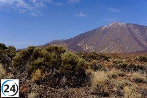 El Cabildo de Tenerife implantará una tasa para los turistas que visiten los espacios naturales.