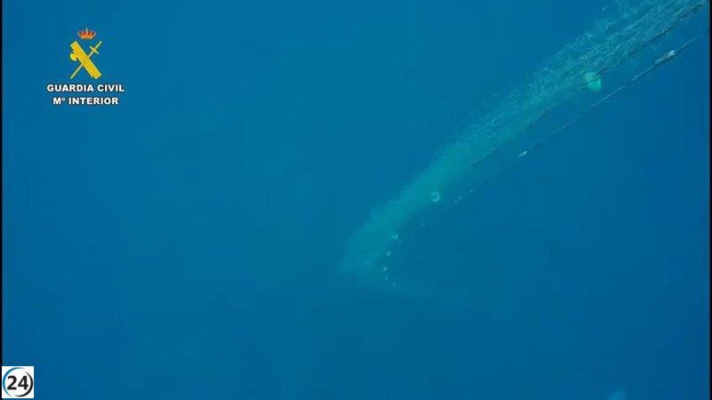 La Guardia Civil decomisa redes ilegales y pescado en La Palma: 400 metros y 17 kilos incautados.