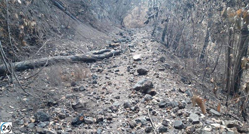 Arrestado por iniciar tres incendios en Vilaflor