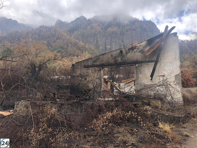El Cabildo de Tenerife destina 1,6 millones para restaurar castaños dañados por incendio veraniego.