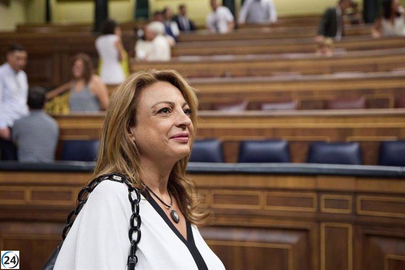 CC presenta en el Congreso una propuesta para asegurar fondos y declarar de interés general los trenes en las islas.