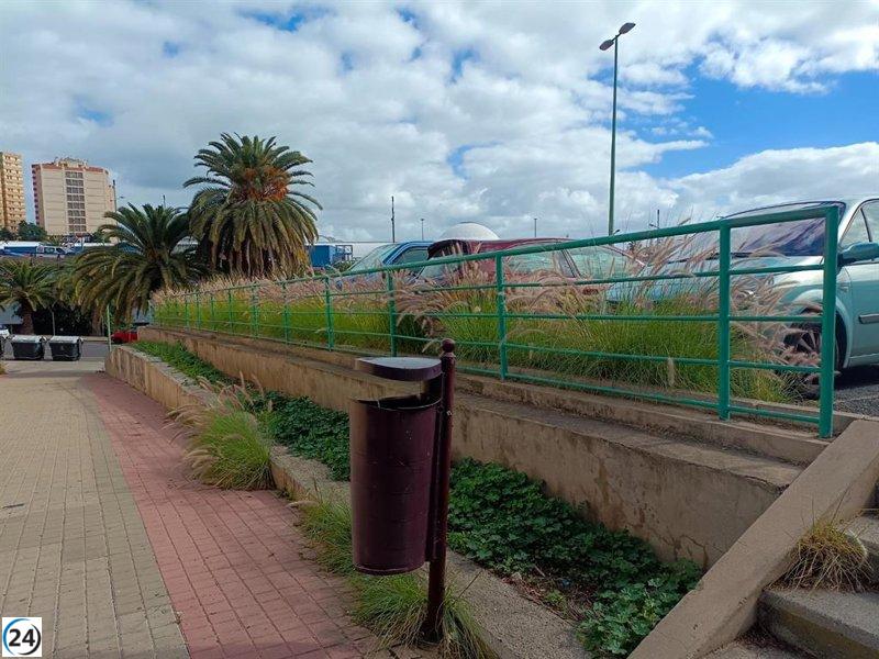 ACBC demanda regulación del rabogato en calles y espacios de Las Palmas de Gran Canaria.