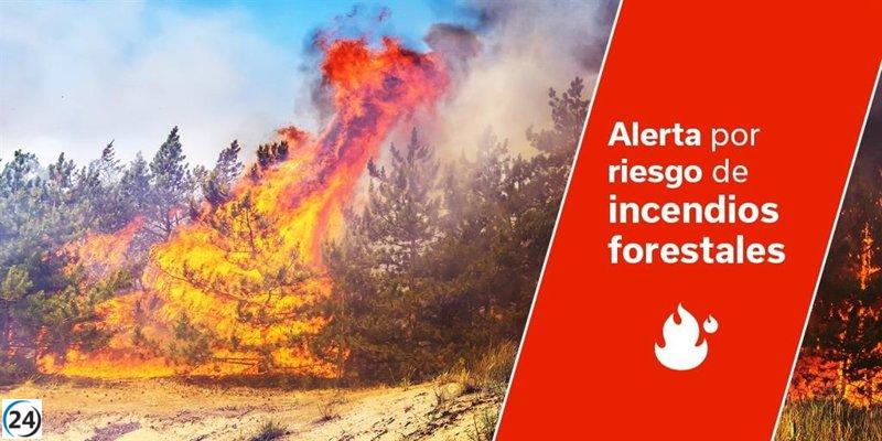 Gobierno de Canarias eleva alerta de incendios forestales en Santa Cruz de Tenerife y Gran Canaria.