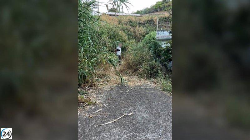 Arresto de un individuo por intento de provocar un incendio forestal en Moya, Gran Canaria.