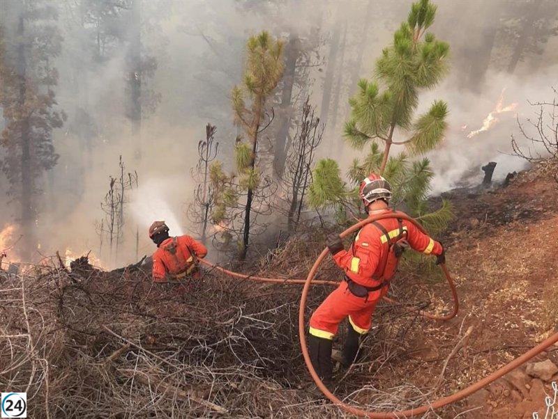 Gran Canaria enfrenta alerta de incendio forestal a partir del domingo.