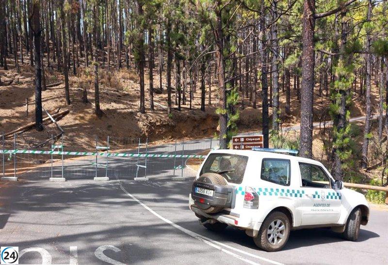 Cierre de carreteras en Tenerife por alto riesgo de incendios forestales.