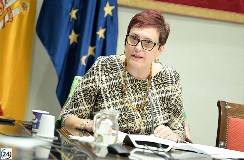 Canarias declara que el decreto sobre menores migrantes beneficia a todas las comunidades y pide su aplicación.