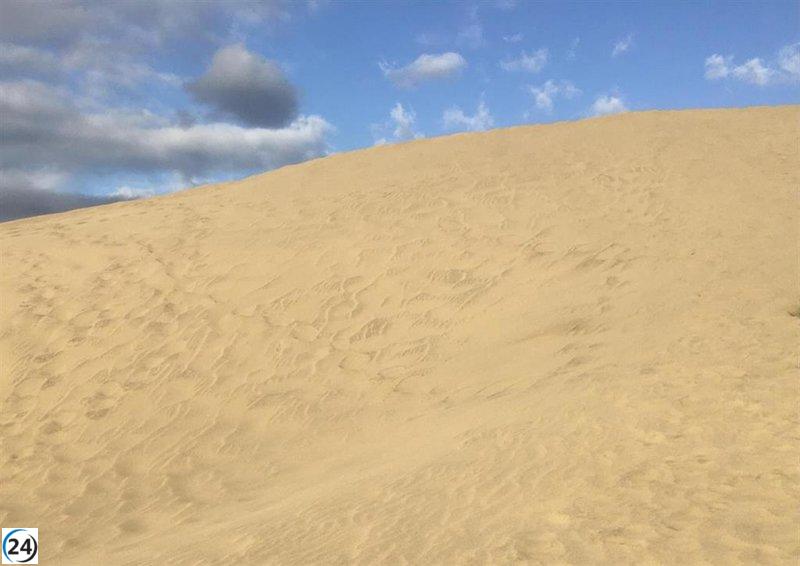 Seprona y Cabildo refuerzan la defensa de las Dunas de Maspalomas ante el aumento del turismo.
