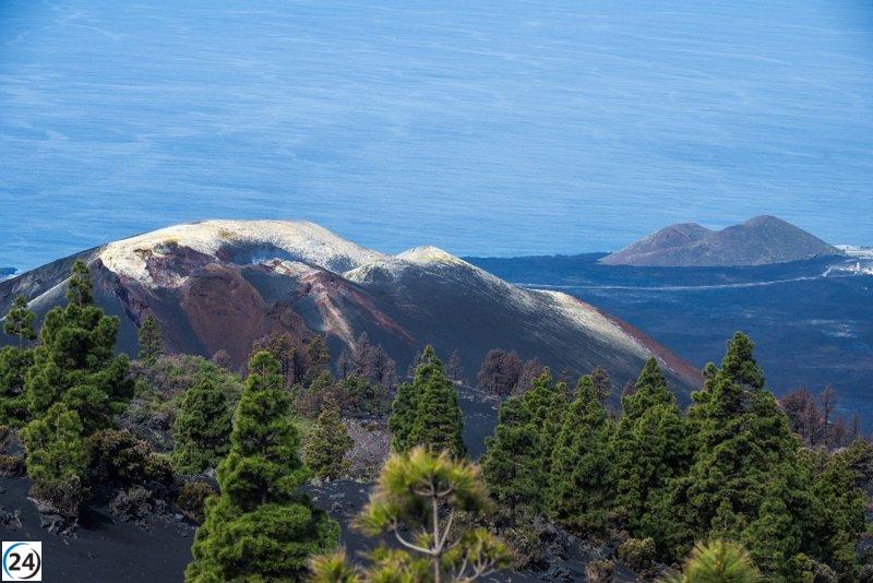 Tenerife y La Palma se unen para postularse como sede del Centro Nacional de Vulcanología.