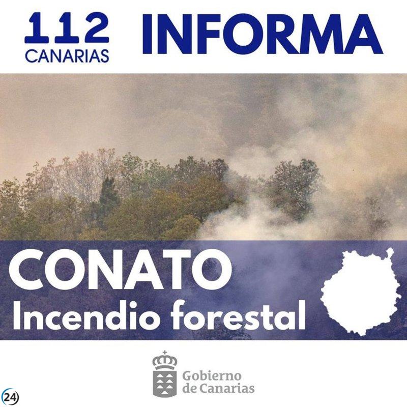 Controlado el incendio en Santa Lucía, Gran Canaria, tras explosión de bombona.