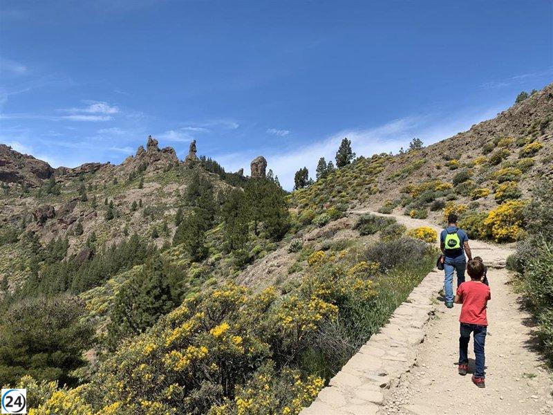 Gran Canaria evalúa una ecotasa para visitar el Roque Nublo.