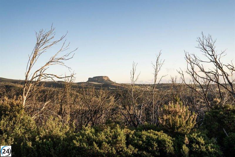 Canarias experimenta su septiembre más cálido en casi seis décadas.
