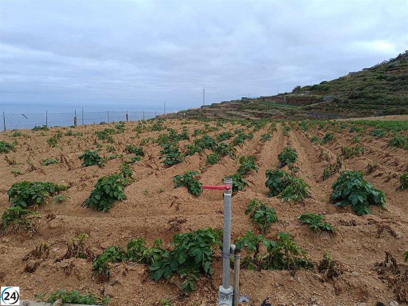 Asaga minimiza la flexibilidad agrícola del Parlamento Europeo como 