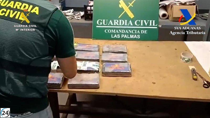 Descubren 11 kilos de cocaína en un contenedor brasileño en el Puerto de Las Palmas.