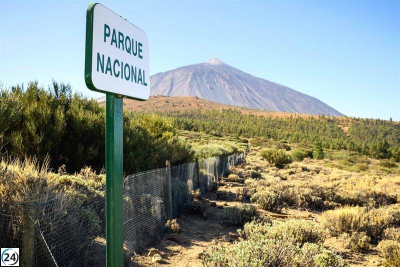 Sismo de larga duración registrado al suroeste de Las Cañadas del Teide.