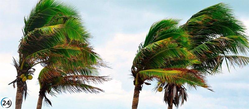 Fuerte viento causa alerta en islas canarias.