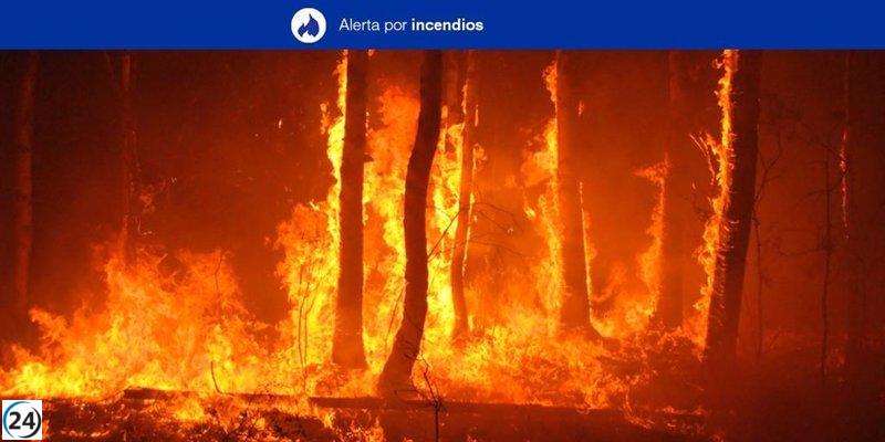 Canarias establece alerta máxima por riesgo de incendios forestales a partir de este miércoles