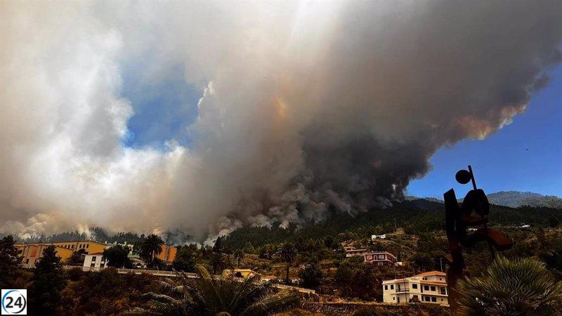 Incendio en Puntagorda, La Palma, se expande a 2.000 hectáreas y genera focos secundarios.