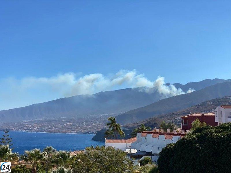 Controlado el incendio en Arafo (Tenerife) que ha arrasado 30 hectáreas.