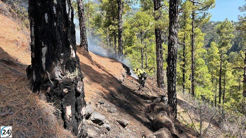 El incendio de La Palma está bajo control mientras abarca unas 2.900 hectáreas.