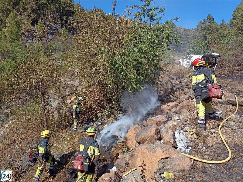 Avances positivos en el incendio de La Palma y se intensifican medidas para evitar rebrotes.