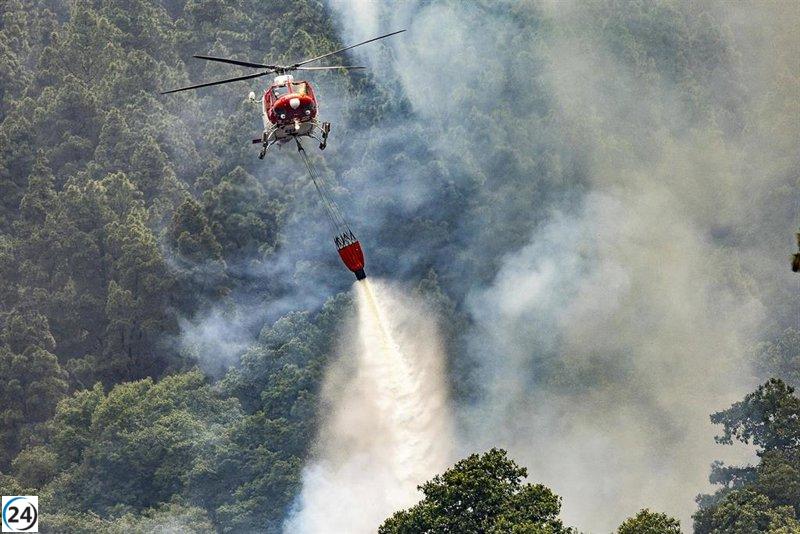 El incendio forestal en Tenerife se encuentra estable, pero existe peligro de reactivación debido a las altas temperaturas.