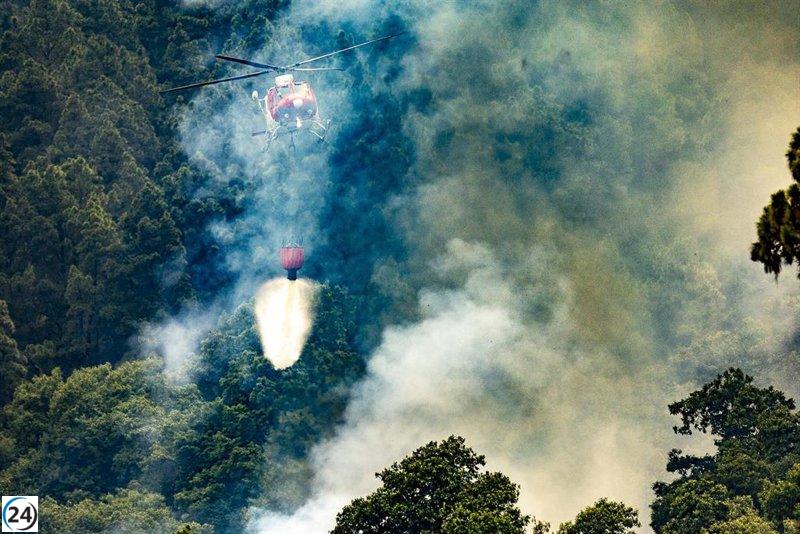 Incendio de Tenerife bajo control: 'focos calientes' y menos de 300 evacuados.
