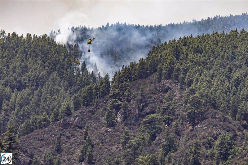 Incendio en Tenerife controlado tras nueve días y 14.700 hectáreas quemadas en doce municipios.