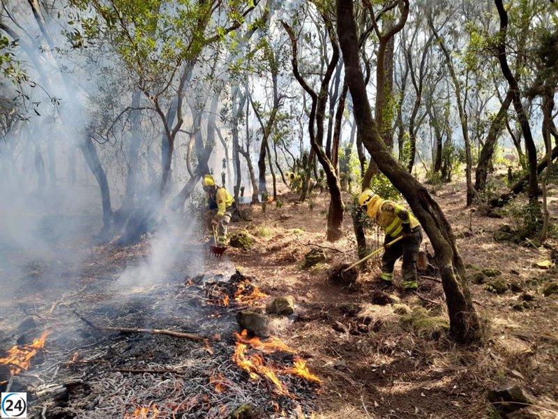 El Gobierno declara áreas quemadas en siete CCAA como zonas afectadas por emergencia de incendios.