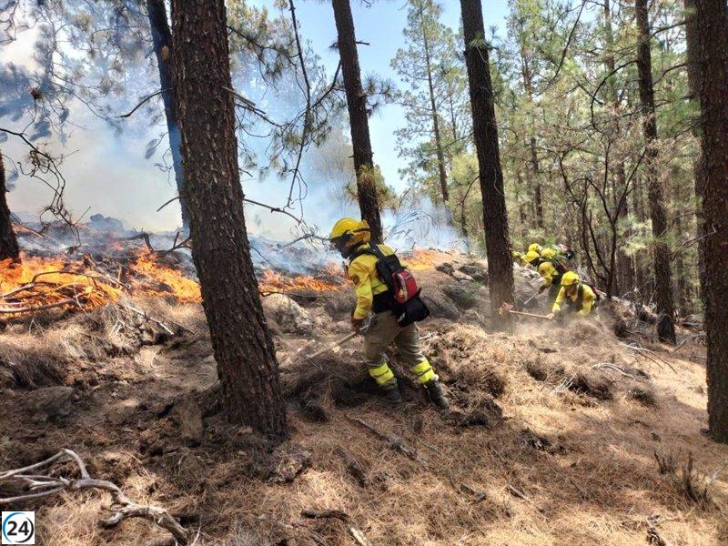 El Cabildo mantiene operativo de 110 personas para frenar reactivaciones en incendio forestal de Tenerife