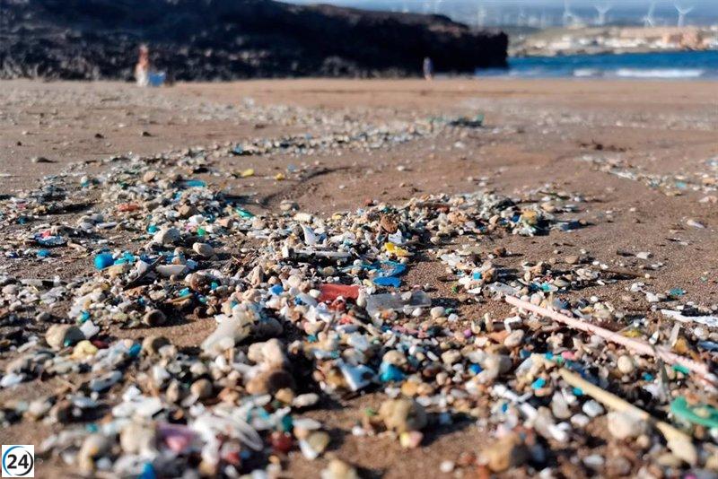 Las playas de la Macaronesia son un depósito de microplásticos, confirma estudio ULL y Universidad de Azores.