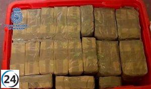 Desmantelada red de tráfico de drogas en Canarias que abastecía la península.