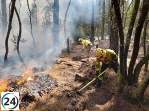 El incendio forestal de Tenerife está bajo control, según el Cabildo