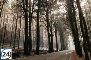 El Cabildo de Tenerife establece limitaciones en el acceso al Teide a través de La Esperanza y La Orotava
