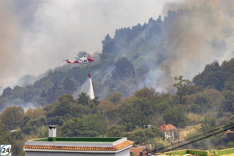 El Gobierno canario declara nivel 2 en el incendio forestal de Tenerife.