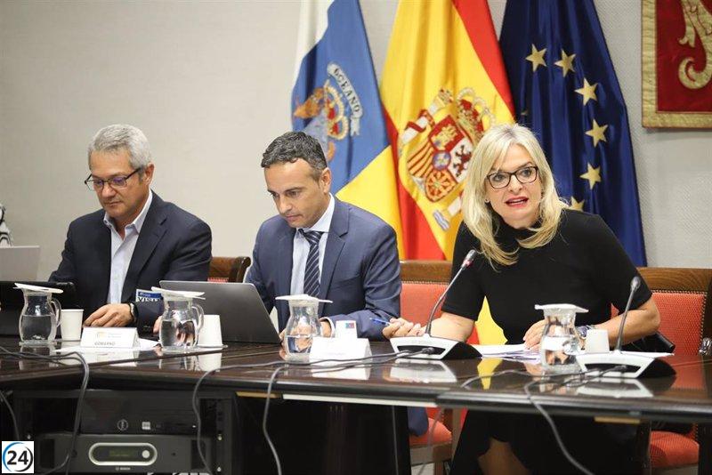 Canarias instará a la ministra de Sanidad a financiar la atención sanitaria a los migrantes.