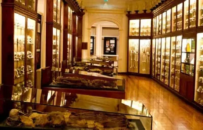 Los museos canarios: recorriendo la historia y la cultura