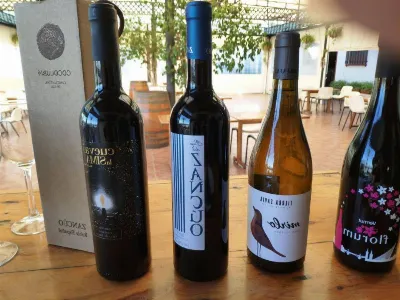 El vino canario: símbolo de una cultura vitivinícola ancestral