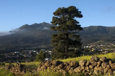 La influencia del transporte en la calidad del aire en Canarias